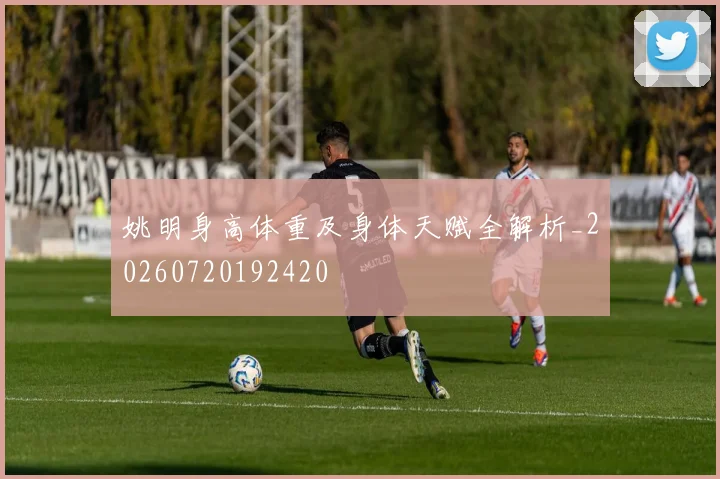 姚明身高体重及身体天赋全解析_20260720192420